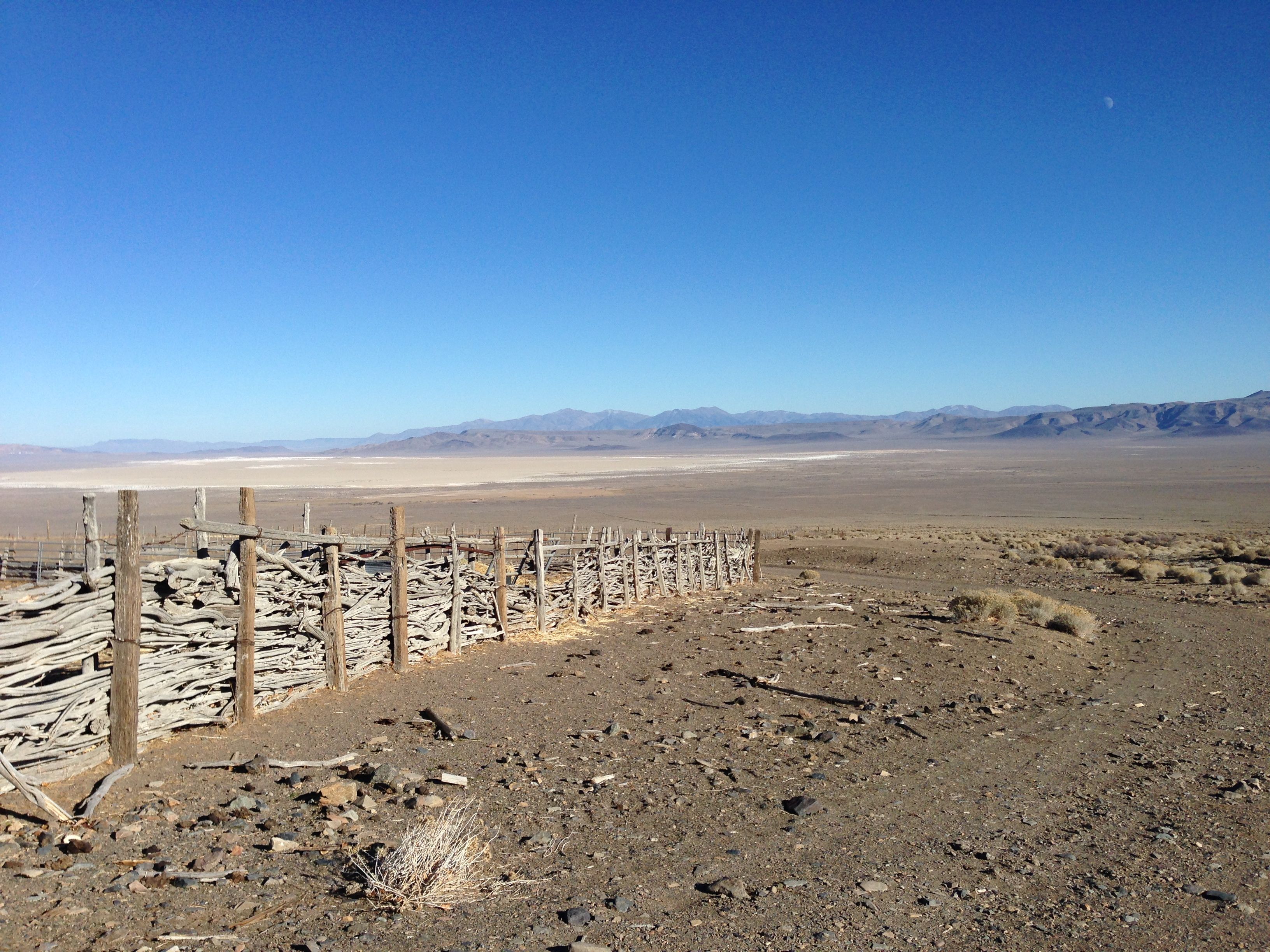 Buffalo Fence