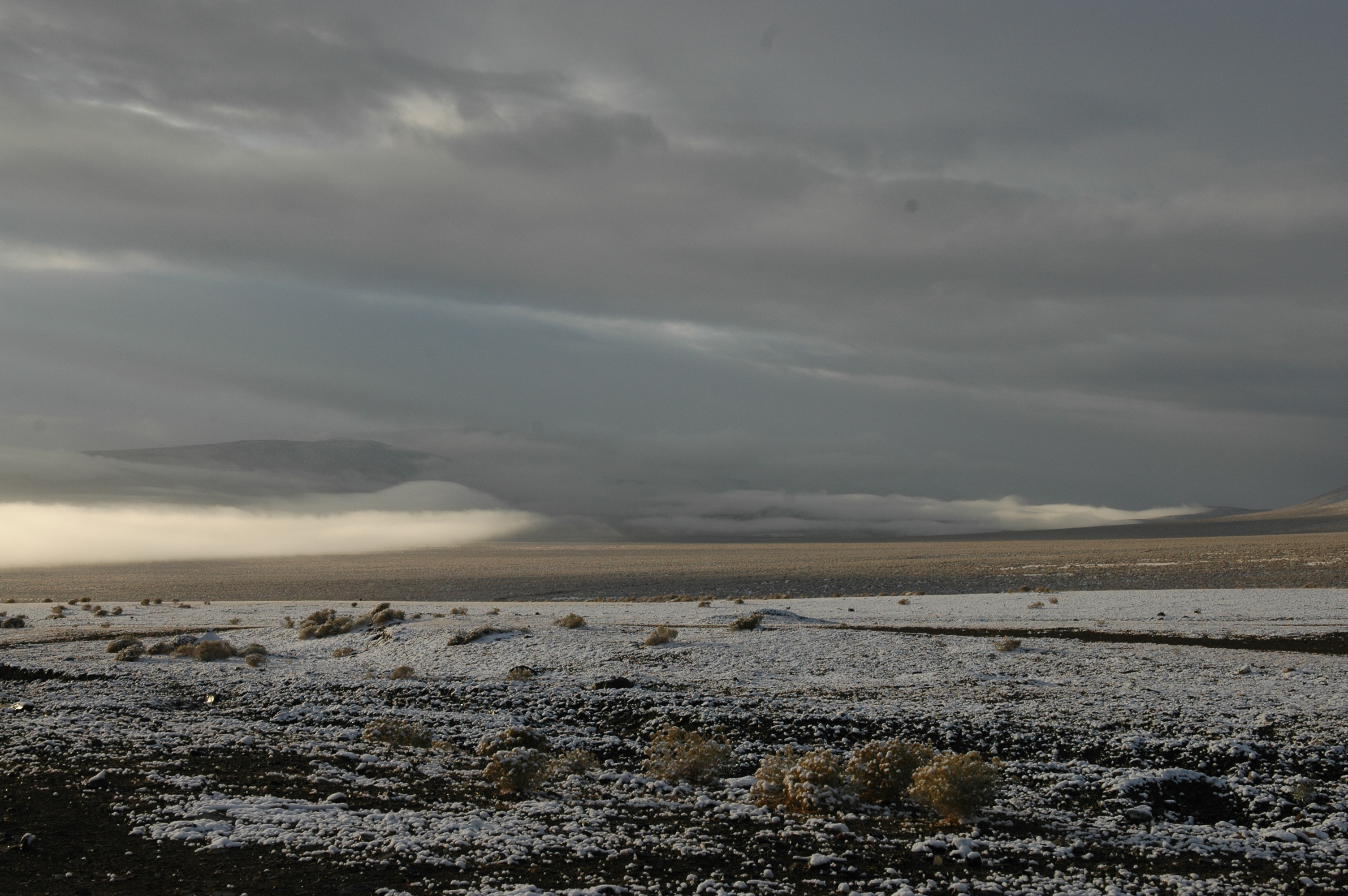 DSC_0001