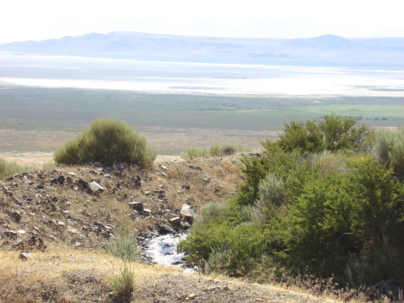 Wood Canyon 13
