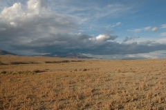 thumbs_037