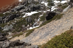 thumbs_img_0090