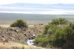 thumbs_wood-canyon-13