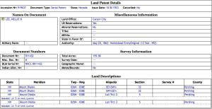 Nellie Lee Land Patent 919637 Details